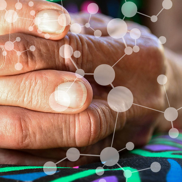 Alzheimer Forschung Initiative