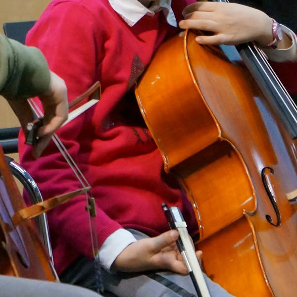 musikschulen.de