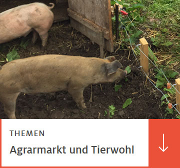 Zu unserem Projekt bvlh.de